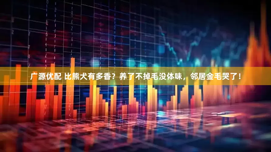 广源优配 比熊犬有多香？养了不掉毛没体味，邻居金毛哭了！
