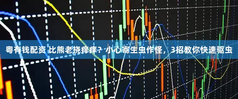 粤有钱配资 比熊老挠痒痒？小心寄生虫作怪，3招教你快速驱虫