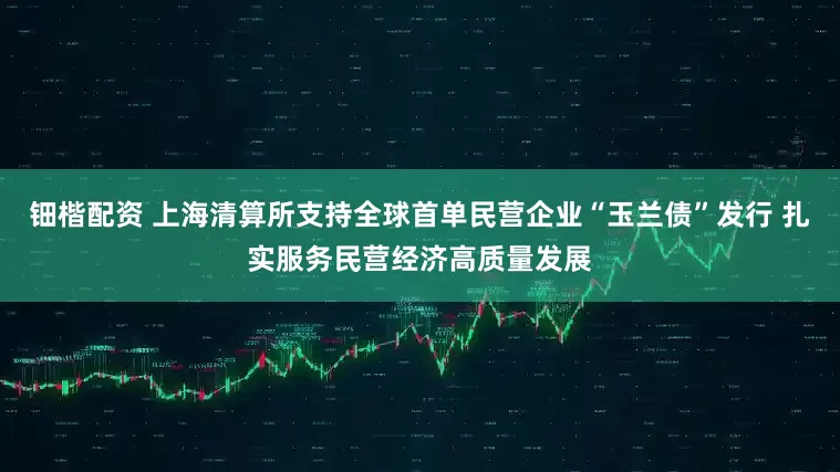 钿楷配资 上海清算所支持全球首单民营企业“玉兰债”发行 扎实服务民营经济高质量发展